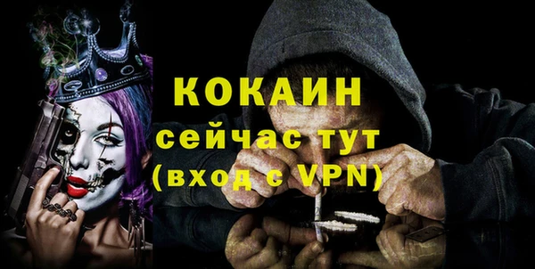 ECSTASY Белокуриха