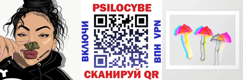 Псилоцибиновые грибы прущие грибы  Гатчина 