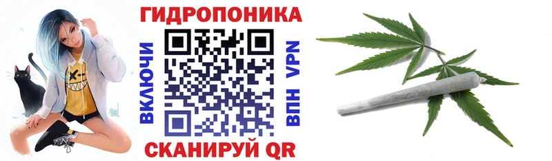 Канабис тримм  даркнет сайт  Гатчина 